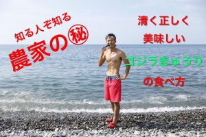 ゴジラきゅうり