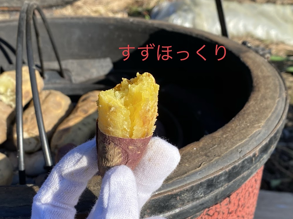 焼き芋パラダイス すずほっくり ふくむらさき 高系14号 コガネセンガン ツクバコマチ コガネマサリ まなべ農園