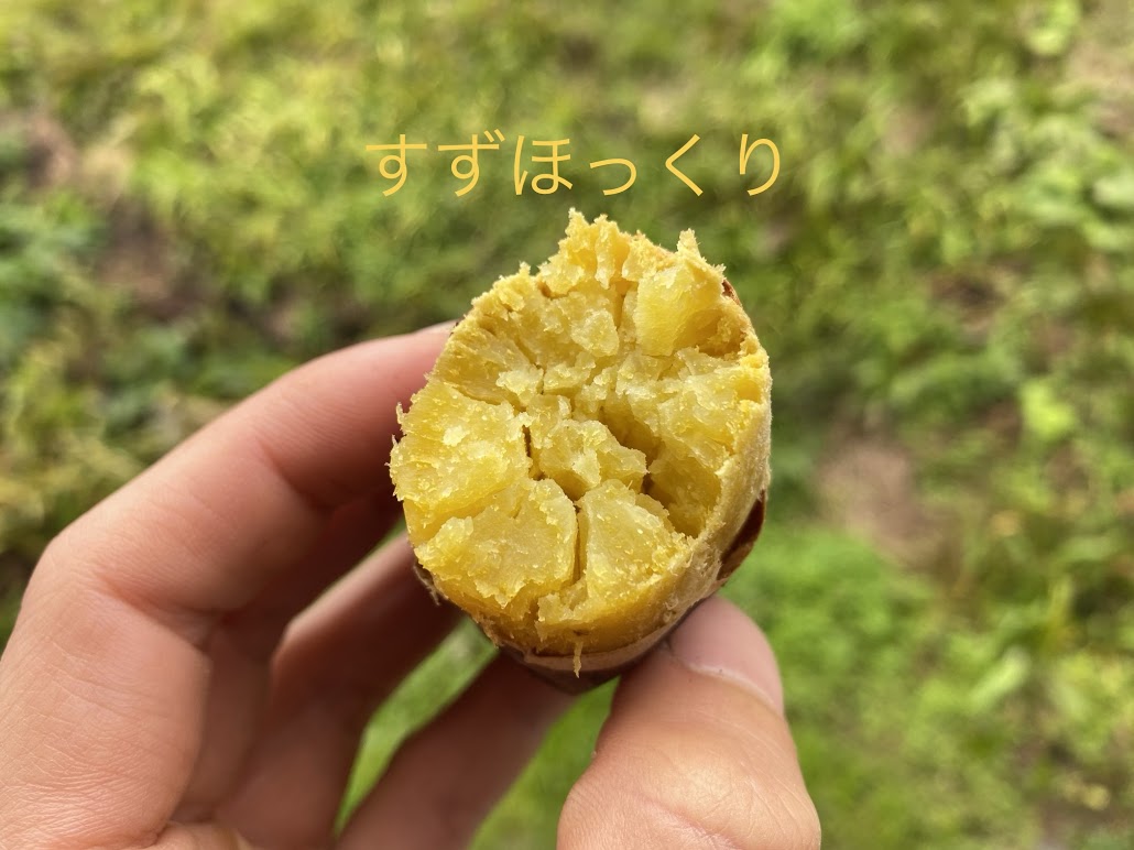 すずほっくり というお芋を焼き芋にして食べました まなべ農園