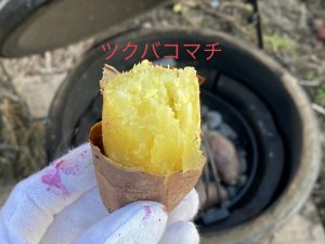 焼き芋パラダイス すずほっくり ふくむらさき 高系14号 コガネセンガン ツクバコマチ コガネマサリ まなべ農園